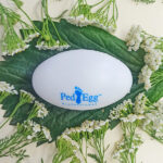 Szczotka - tarka do stóp PED EGG - obrazek 3